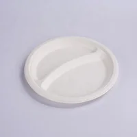 

eco friendly disposable sugarcane paper plate