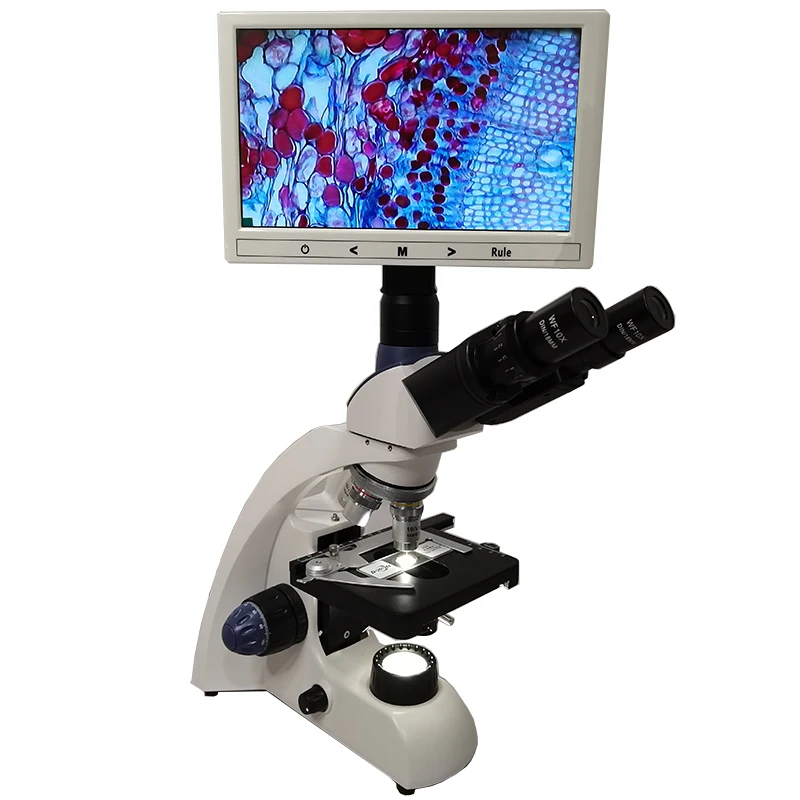 

China LED light video biological microscope with lcd screen
