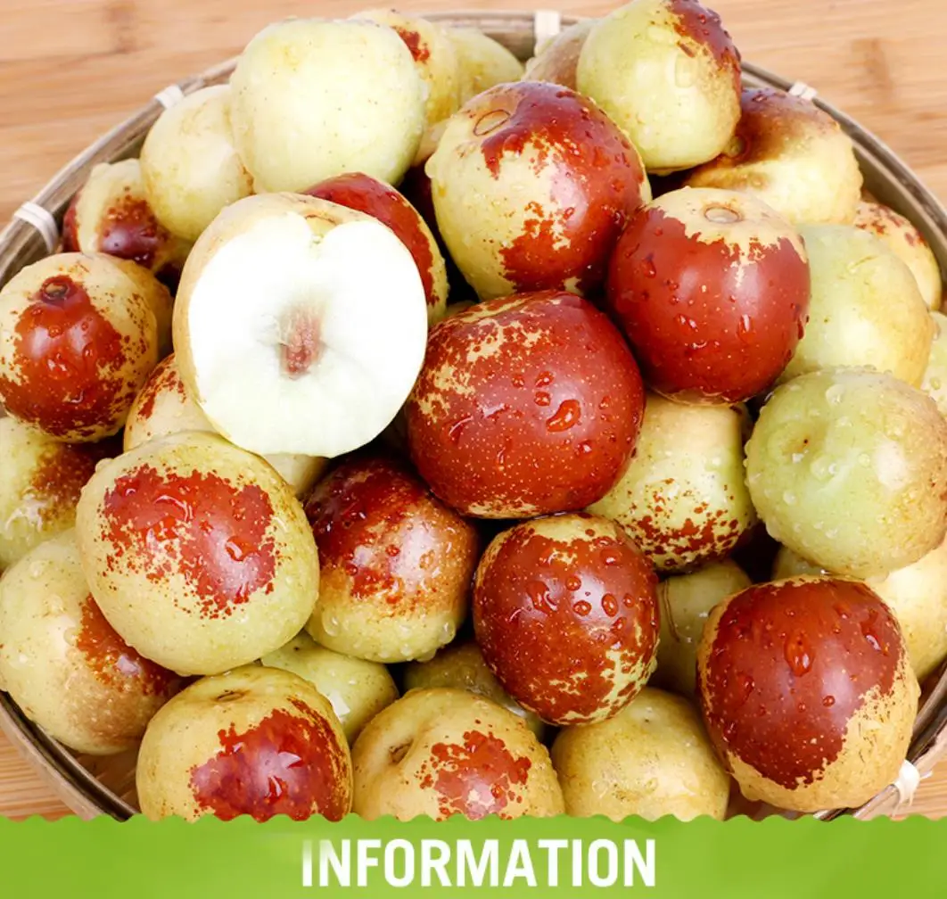 fresh jujube dates  (42)