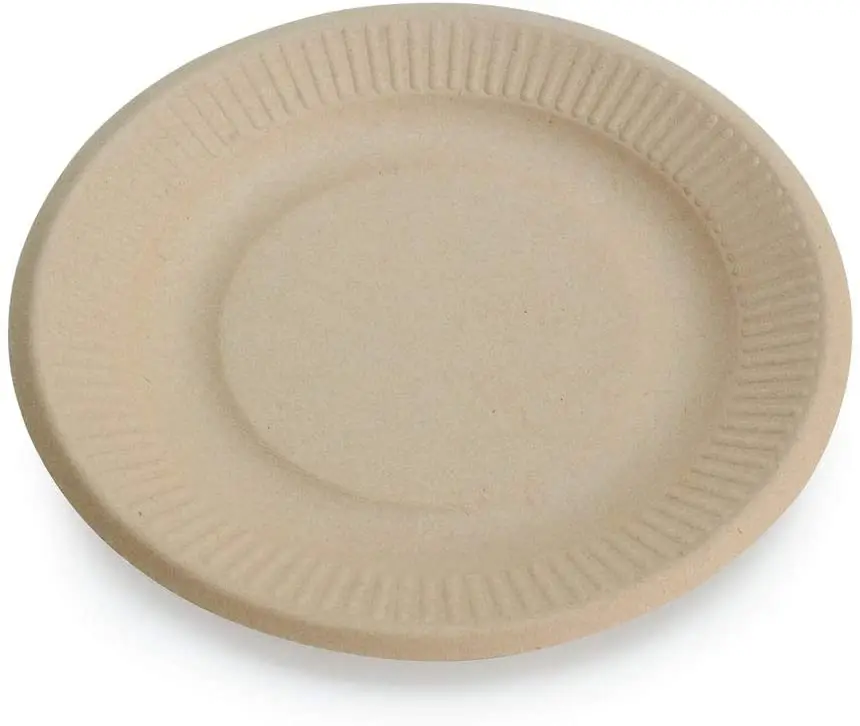 

Eco-friendly Biodegradable Compostable Disposable Sugarcane Bagasse Microwaveable Paper Plate, White & natural