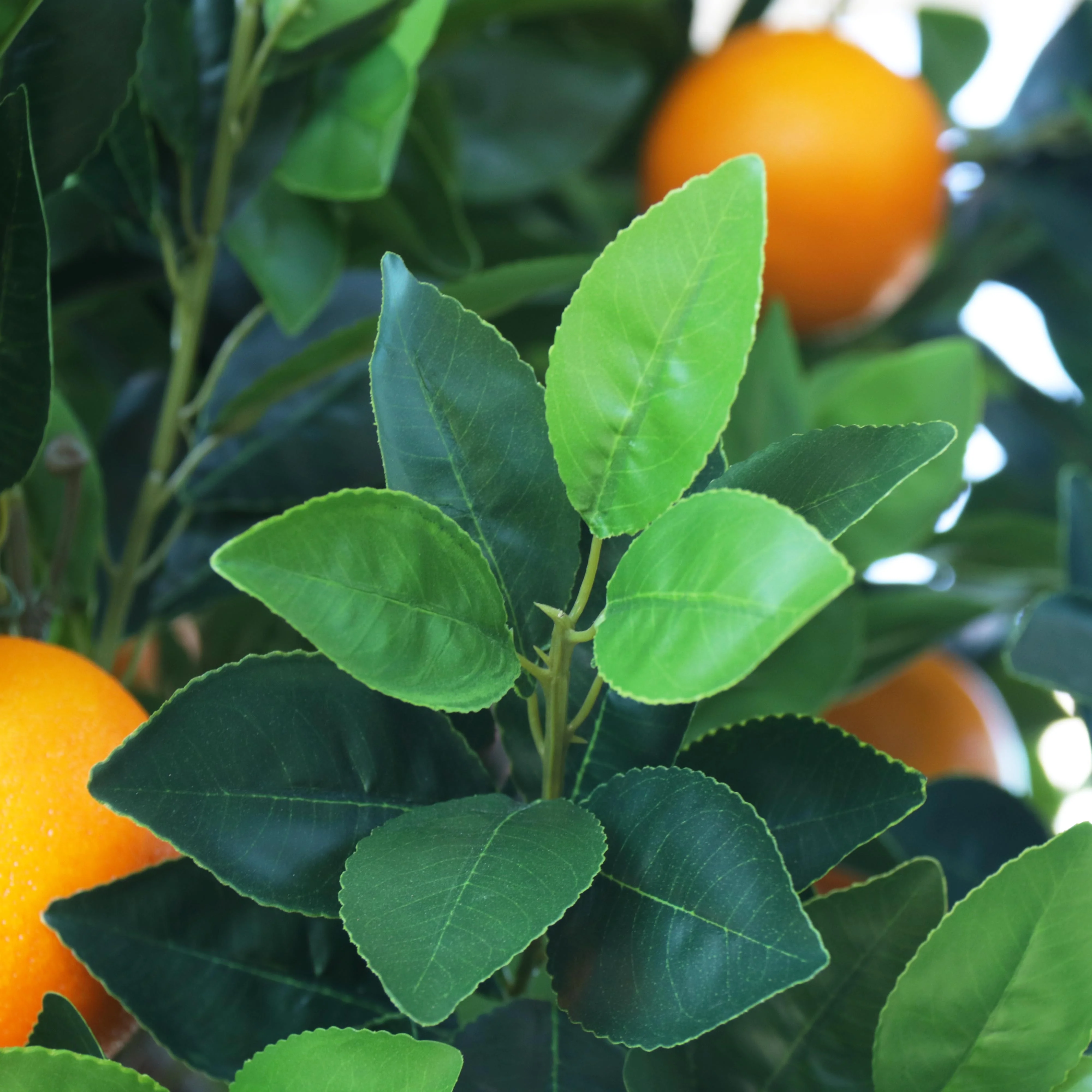 Hot Selling Ornamental Plastic Bonsai Tree Indoor Artificial Orange Fruit Tree Buy Artificial