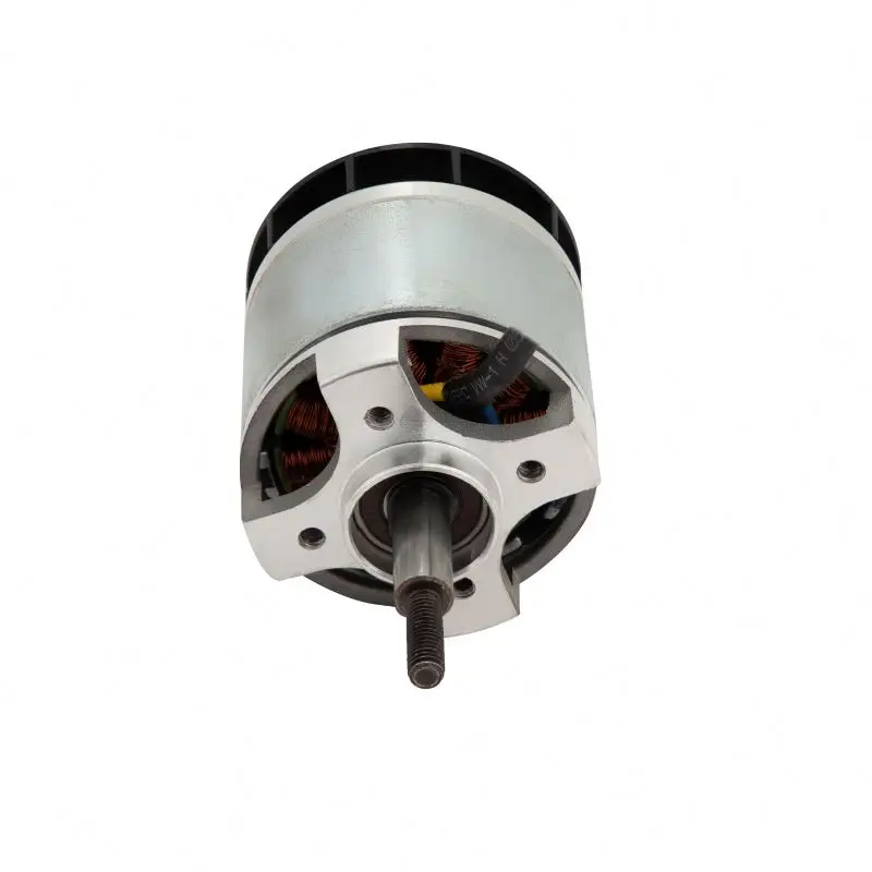 

36V Dia50mm 400W 6300rpm Household Electric Tool Garden Tools Brushless DC Motor