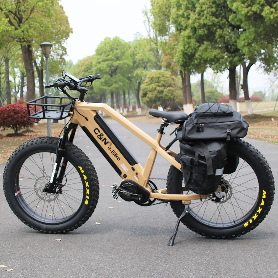 

2021 New Dual Battery 48V 1000W belt mid drive fat tire electric bike mountain ebike fat bike electric bicycle