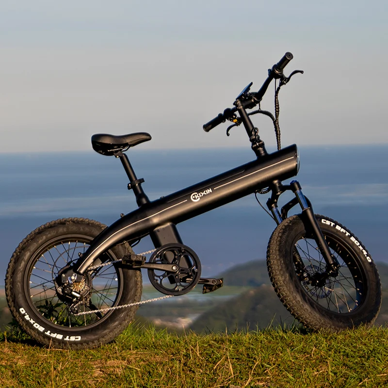 

usa eu warehouse stock 20*4.0 750 watt 1000W big power Fat tire electric Mountain E bike Snow bike electric bicycle with CE