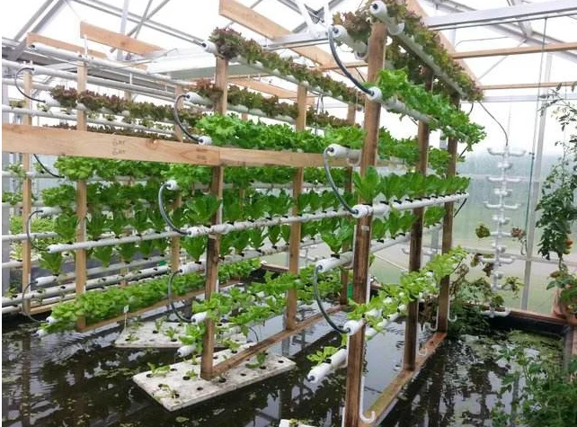 NFT