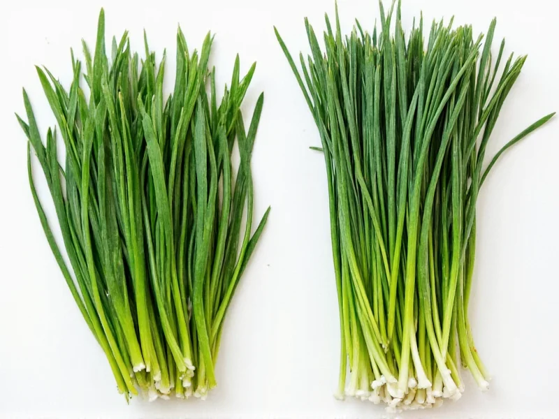 Fresh vs Dried Chives: Key Differences and Best Uses