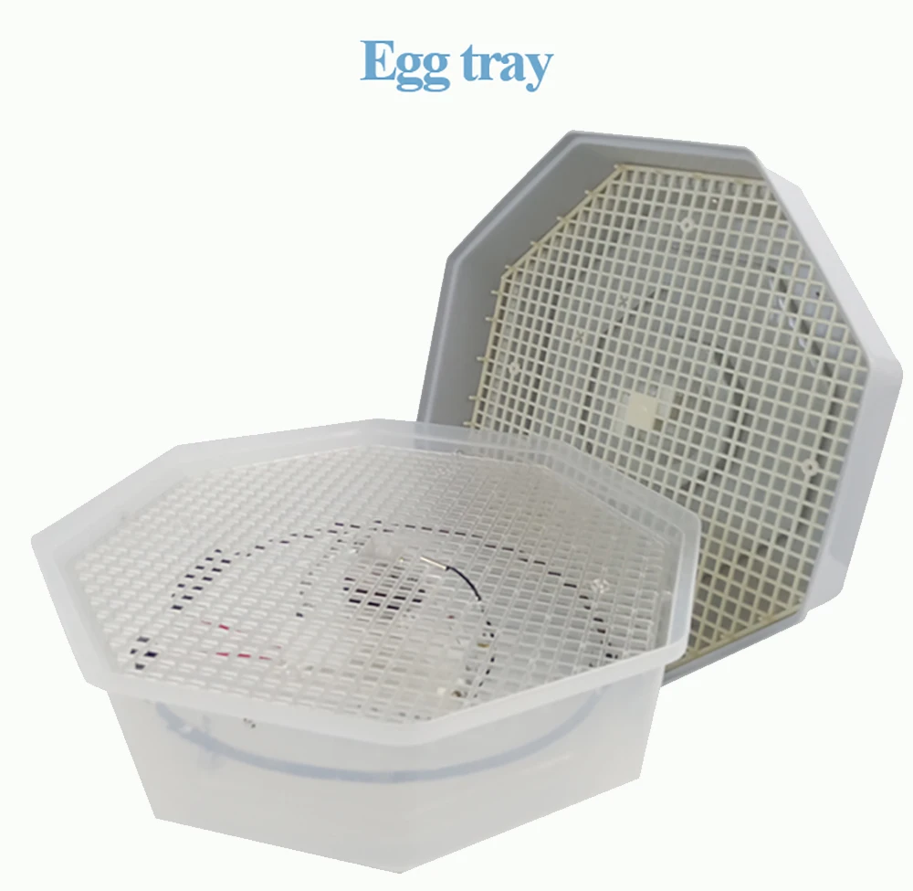 Egg incubator requirements