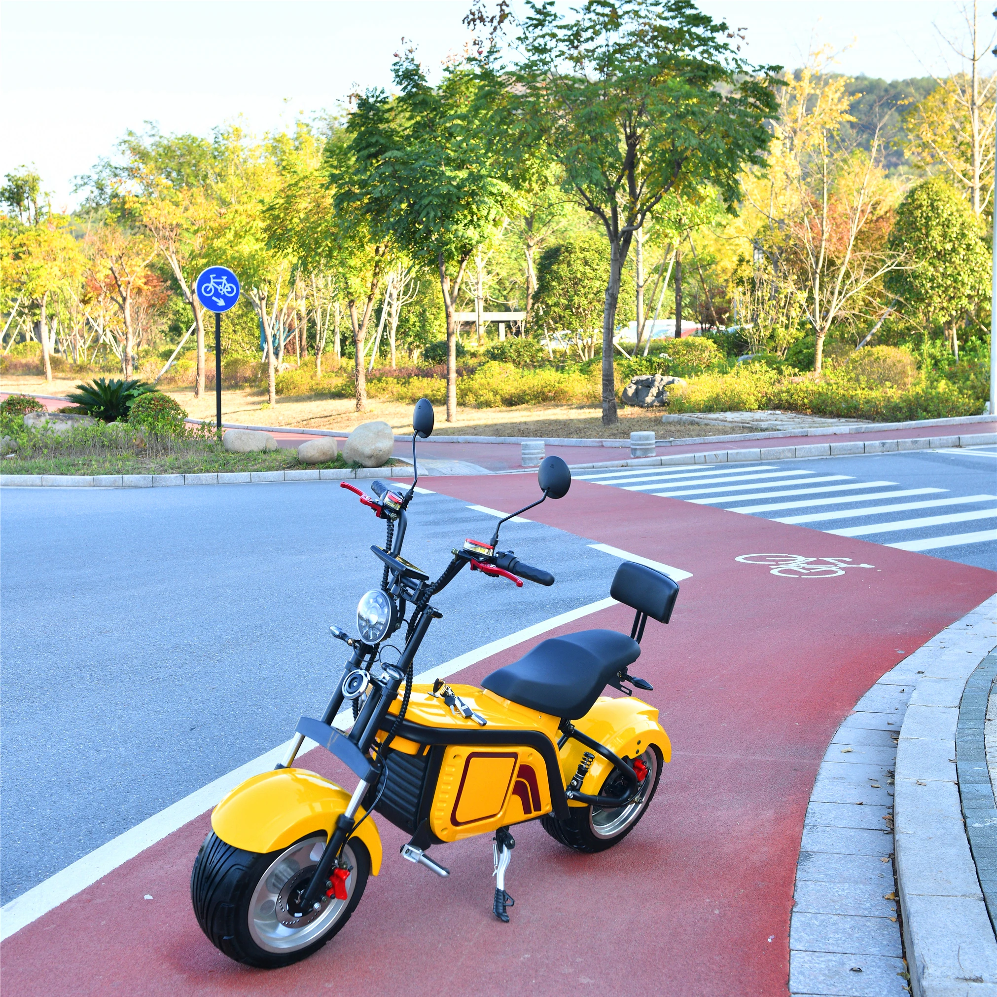 

Factory Directly Selling Pro Wholesale China Max Load 150Kg Electric Scooter With Ce Certificate, Blue red black yellow