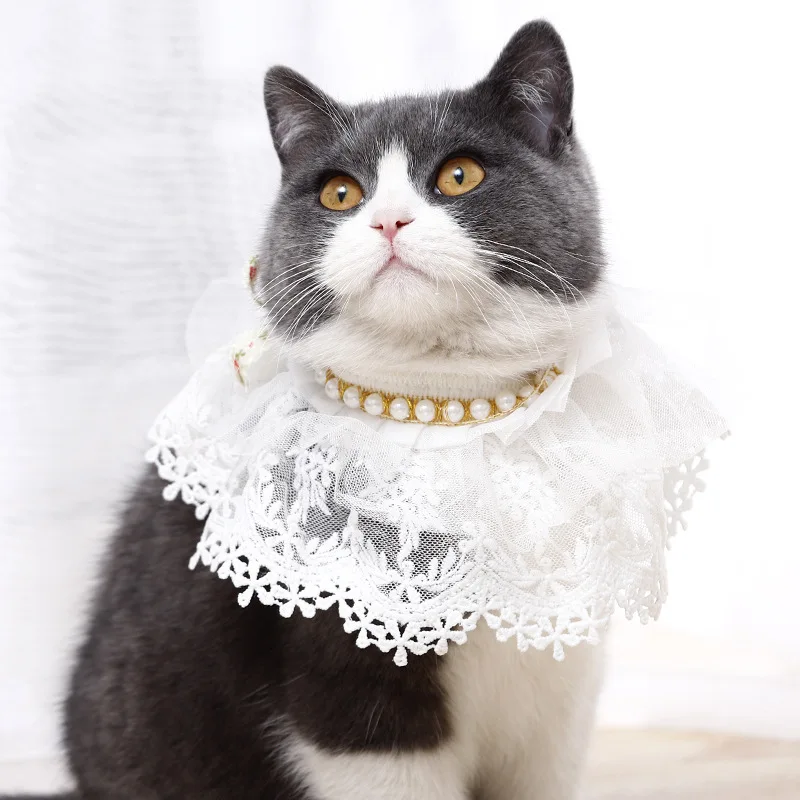 

Hot style pearl double lace cat collar neck set jewelry pet scarf cat collar wholesale, Pink, bule, white