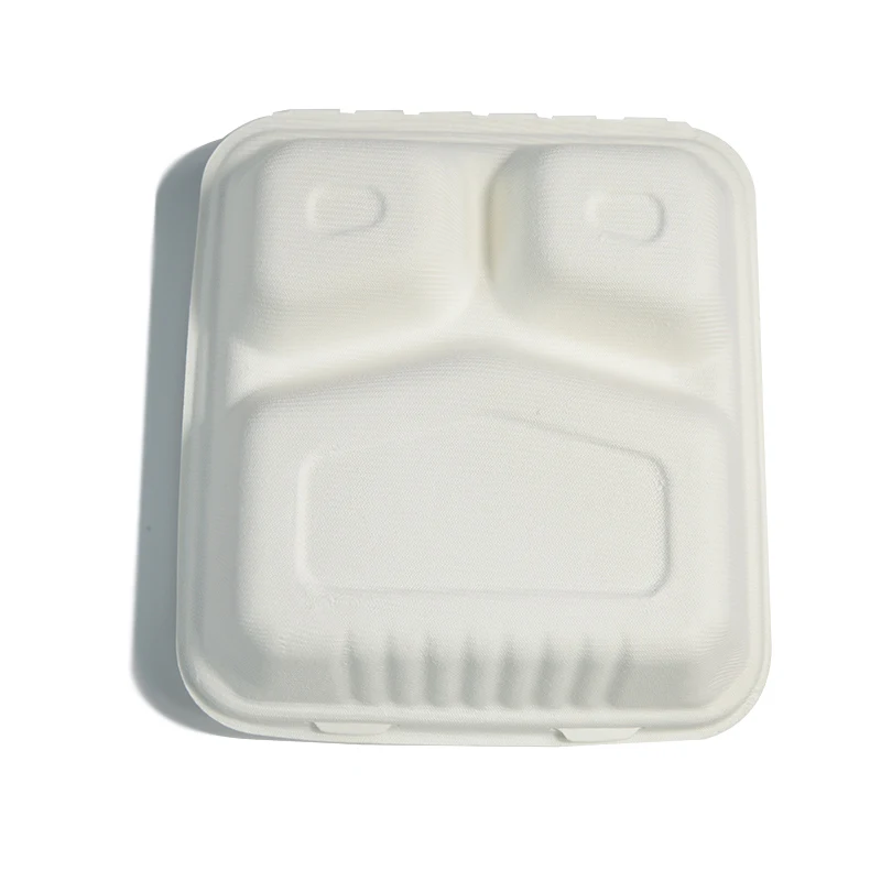 

Disposable Paper Food Containers Take Out Lunch Boxes Sugarcane Pulp Paper Tableware Video