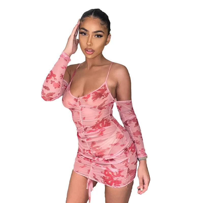 

2021 new arrivals summer collection women deep V neck mesh printed sexy dresses