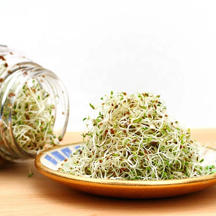 

32oz Wide Mouth Mason Jar Seed Sprouter Set with Steel Stainless Sprouting Stands, Clear