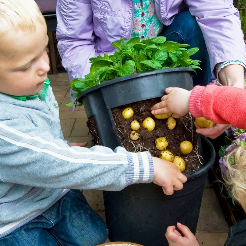 

Skyplant Garden outdoor PP plastic bucket planting potato pot set for growing your own, Black/green/red