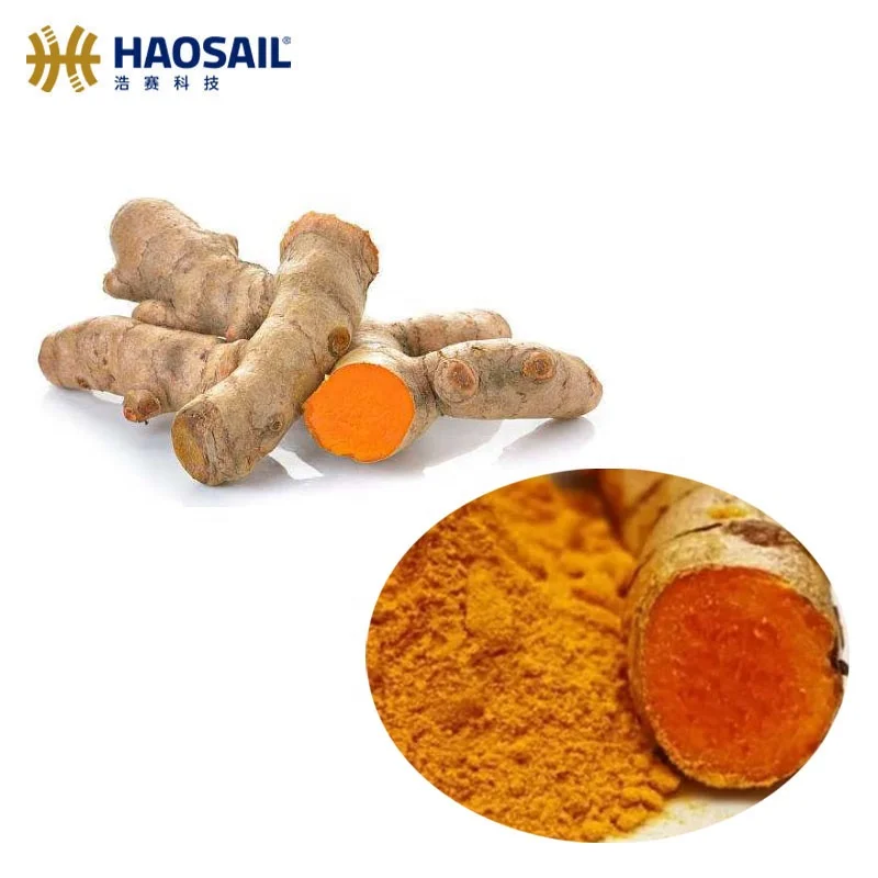 
Top Quality Pure Natural Turmeric Extract Curcumin Powder 95% 