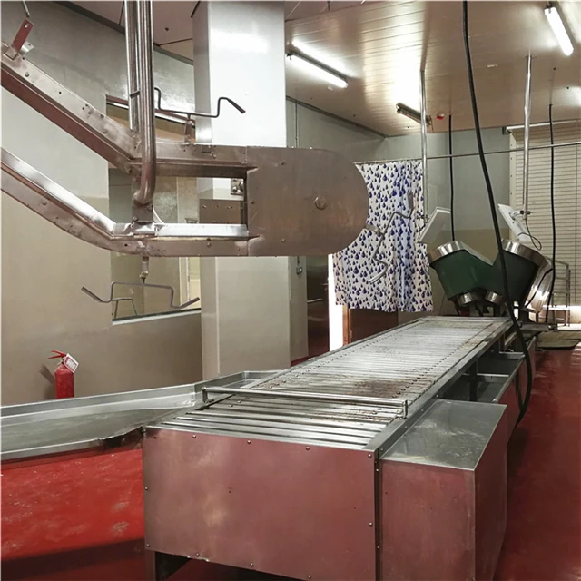 halal_slaughter_house_line_lamb_abattoir_with_sheep_meat_processing_cutting_butcher_equipment