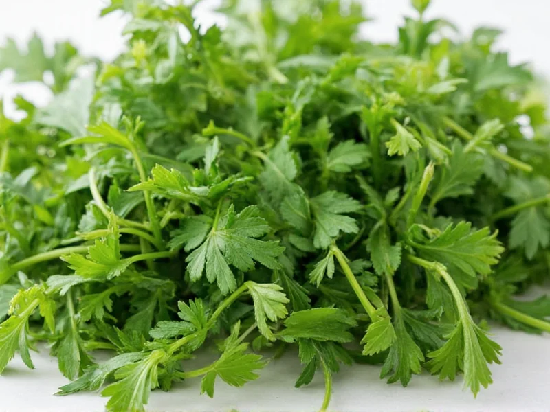 Best Tarragon Alternatives for Perfect Flavor Substitution