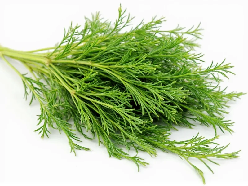 Dry Dill to Fresh Conversion: Exact Measurements Guide