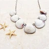 Wholesale natural decorative Seashell Craft for Home Decoration diy jewelry necklace bracelet