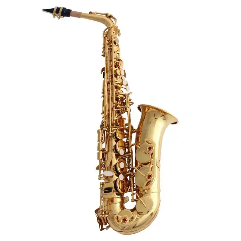 

Fast Delivery Eb Sax Chinese Best Quality Professional Alto saxophone OEM Instrument E flat midrange Sax, Gold