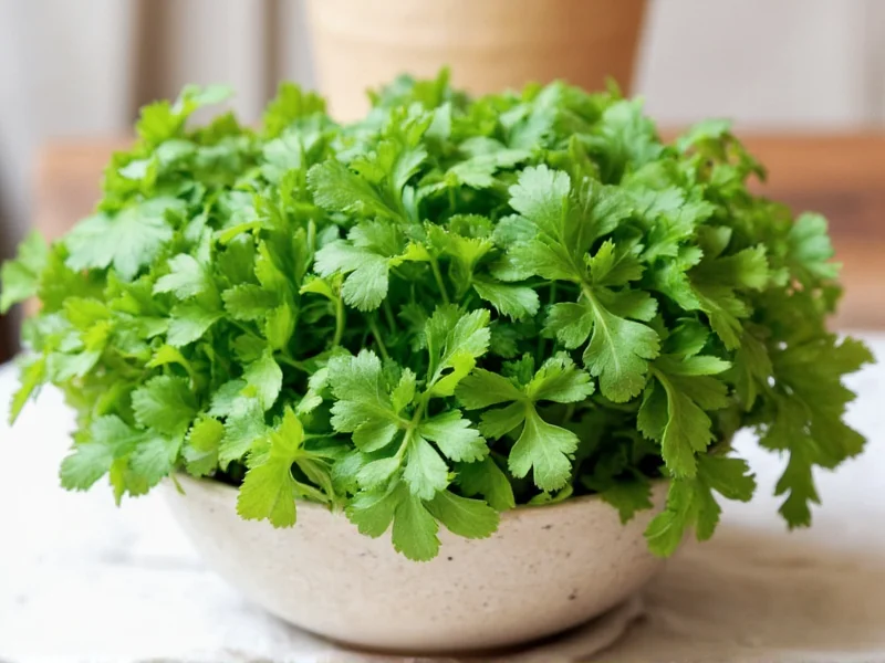 Cilantro and Parsley Benefits: Science-Backed Health Advantages