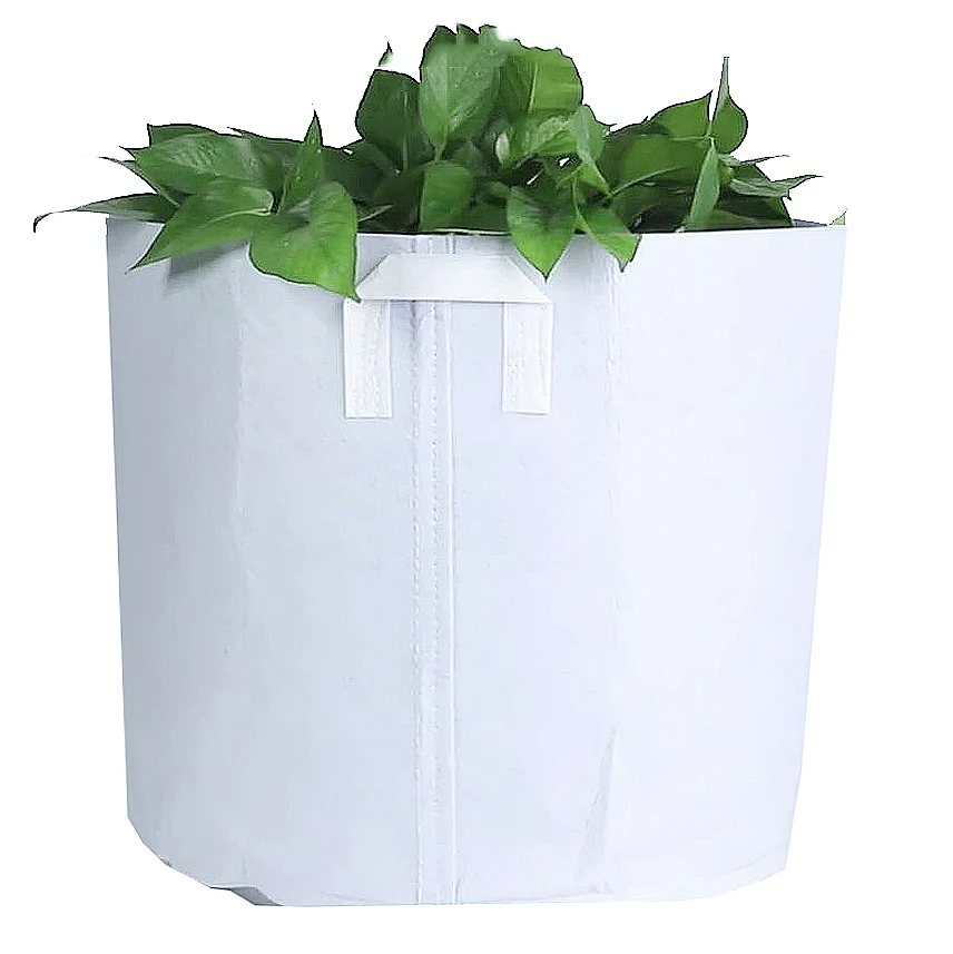 

Garden Square Flower Seeds Small Bags for Easy Grow Testing White Garden Plant Grow Bags, Optional