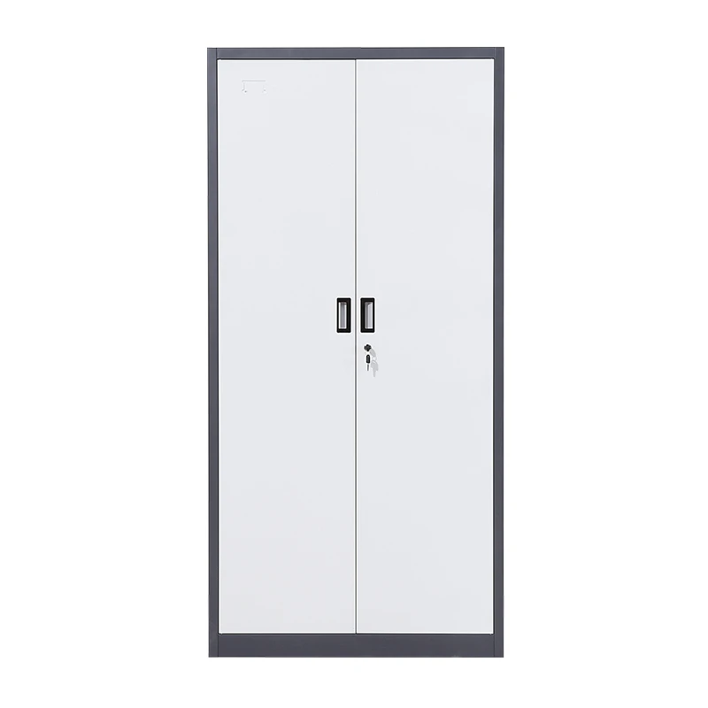 
Morden style 2 door garage metal filing cabinets in office  (62327585489)