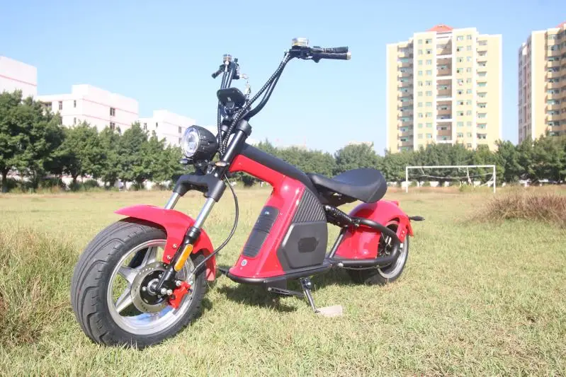 

52V 18Ah Elettrico Powerful 2000W Dual Motor E Scooter Fast Speed Off Road Electric Scooter