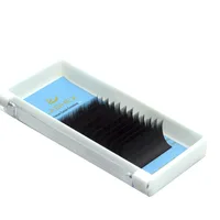 

Factory Professional 0.03mm 0.05mm 0.07 mm Thickness For Classical Lashes Volume Eyelash Extensions