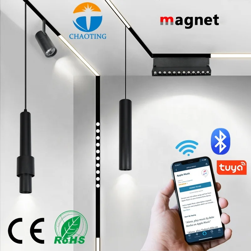 

Linear Magnetic 10W 20W 30W Rail LED Lighting Mini Dimmable Spot LED Track Light