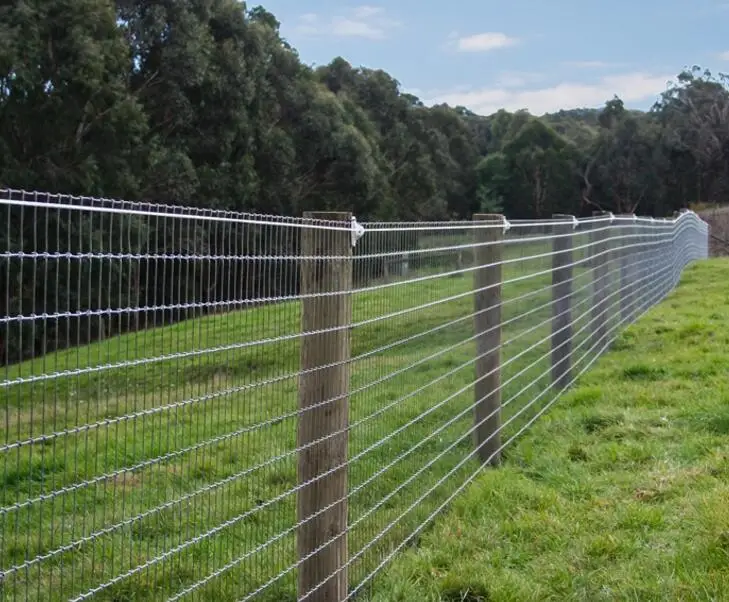 字段围栏牛栅栏