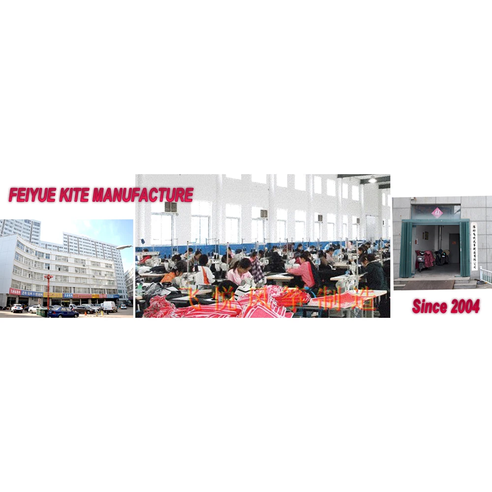 
Promotional power stunt kite factory in china 