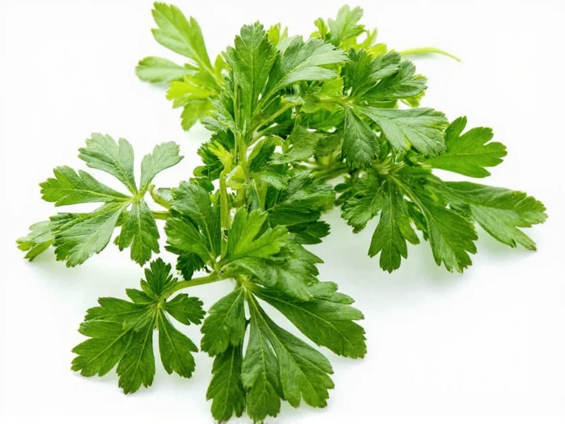 1/2 Cup Fresh Parsley Equals 3 Tbsp Dried: Conversion Guide
