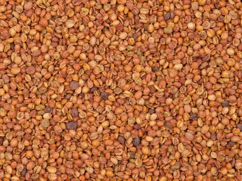 Lentils Nutrition Facts: Protein, Fiber & Health Benefits
