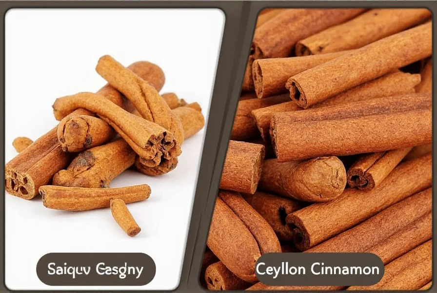 Close-up comparison of Saigon cinnamon sticks showing thick single-layer bark versus Ceylon cinnamon's delicate multiple layers