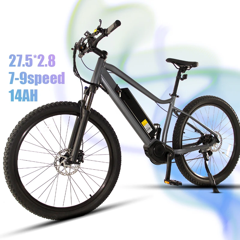 

48V10ah Battery Bike Electric 500W For Tft Display