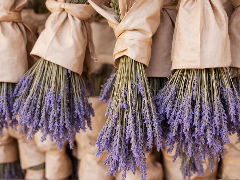 Dried lavender bundles hanging in paper bags