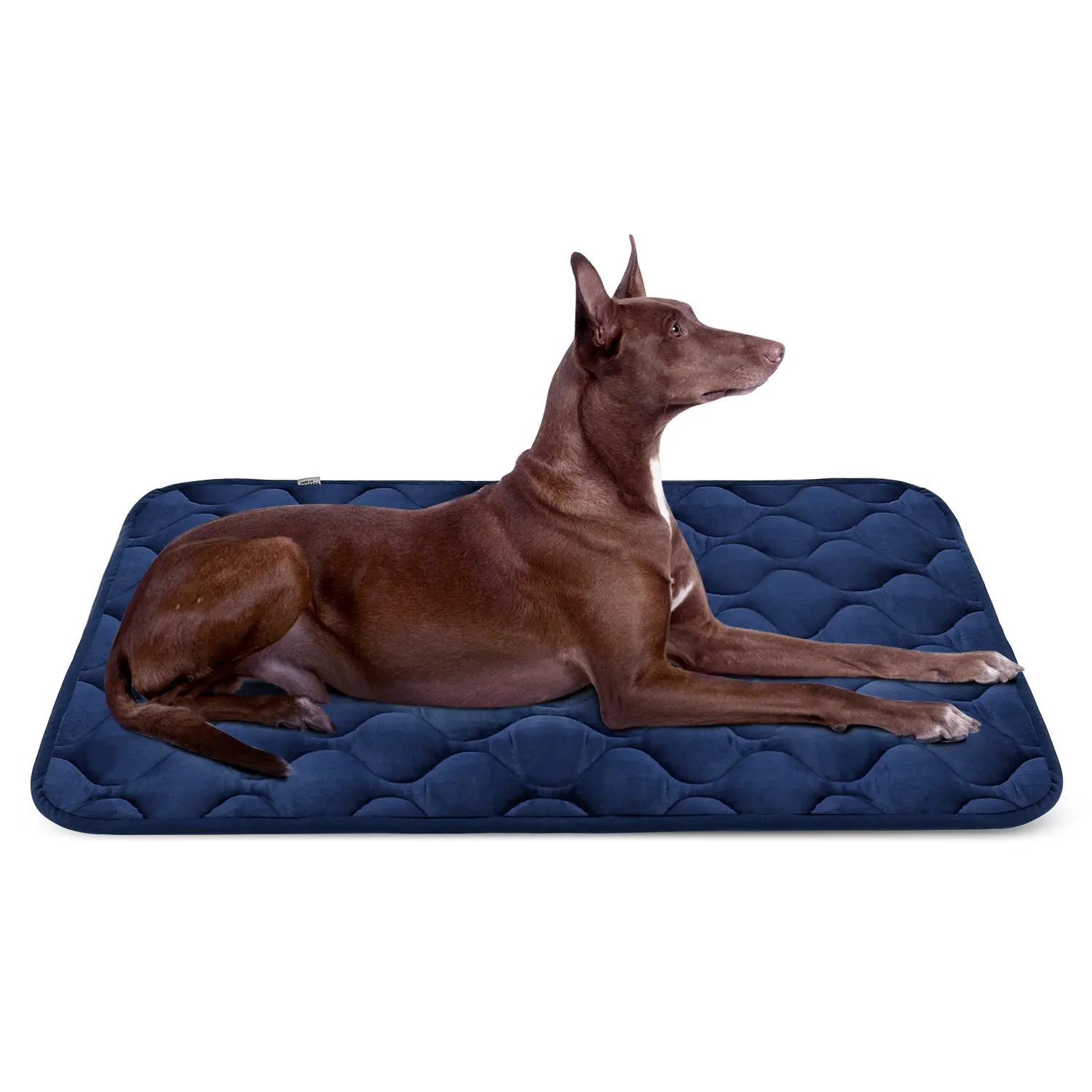 Anti Slip Dog Crate Mattress Pad Dog Bed Mattress For Sleeping Buy