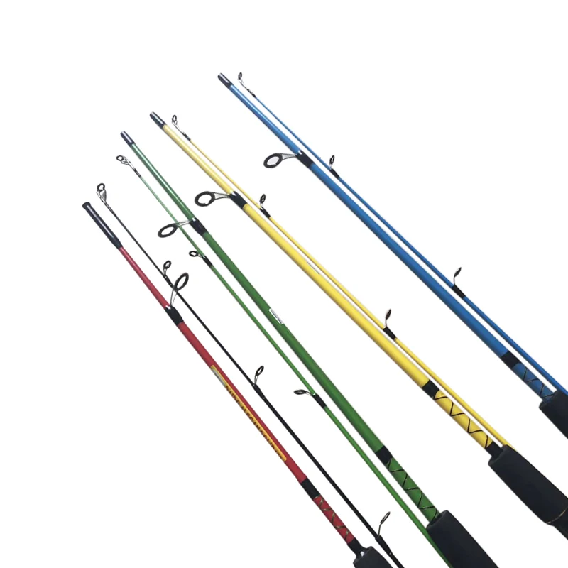 

1.2m 1.5m Trolling Ice Sea Fishing Rod Boat Fishing M Action Soft Octopus Squid Spinning Fishing Rod Beach 2 Section Rod 50-100g, 4 colors