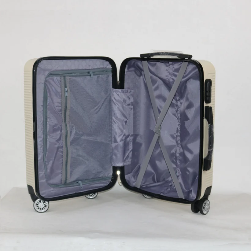 fancy luggage  (13).png