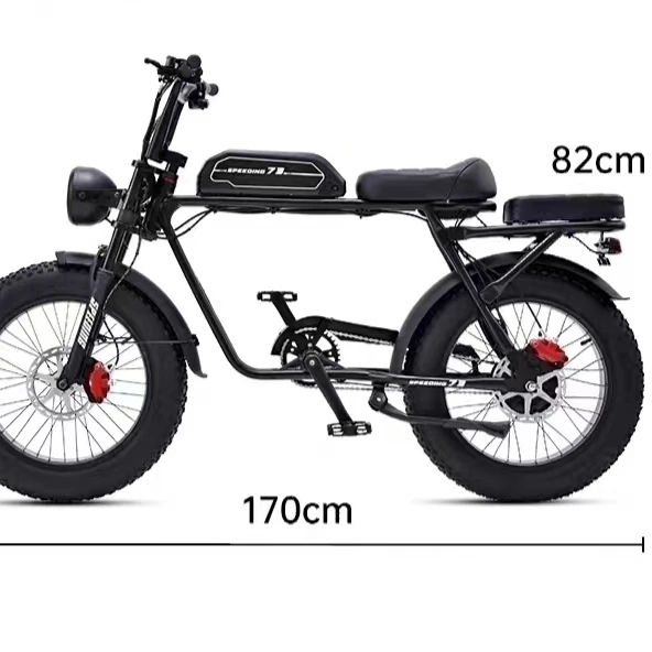 

20 * 4.0 Inch Fat Tires Aluminum Alloy 6061 Frame 48v 250w 500w 750w Suspension Folding Electric Bicycle