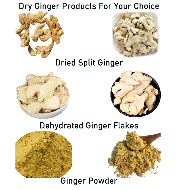 Dehydrated Ginger Series A