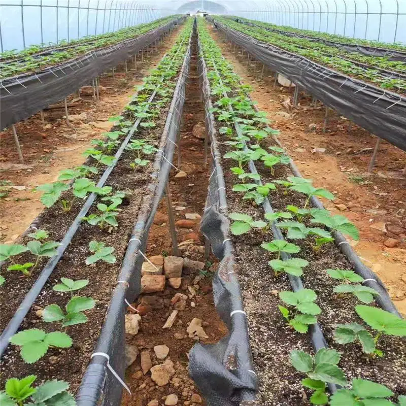 agricultural drip tape