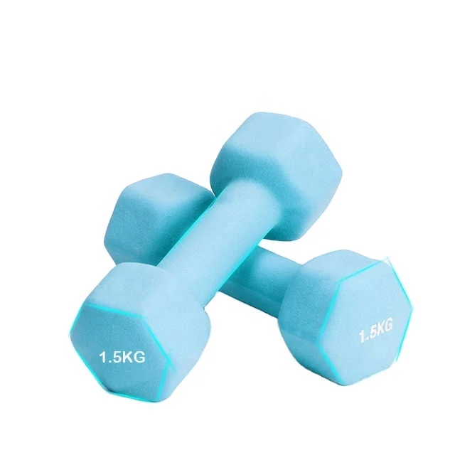 

Cheap Hot Sale Women Exercise Dumbbell Colorful Vinyl Carton Strength Exercise Dumbell Set 100 Sets Accept OEM Multi-color HA176