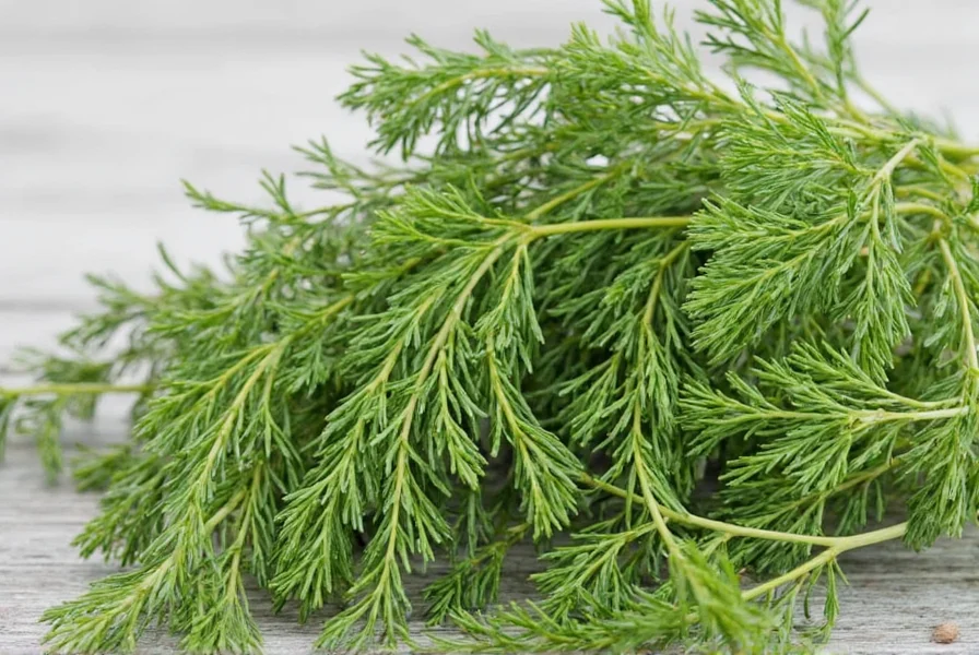 dried dill decoded what exactly is it why you should care