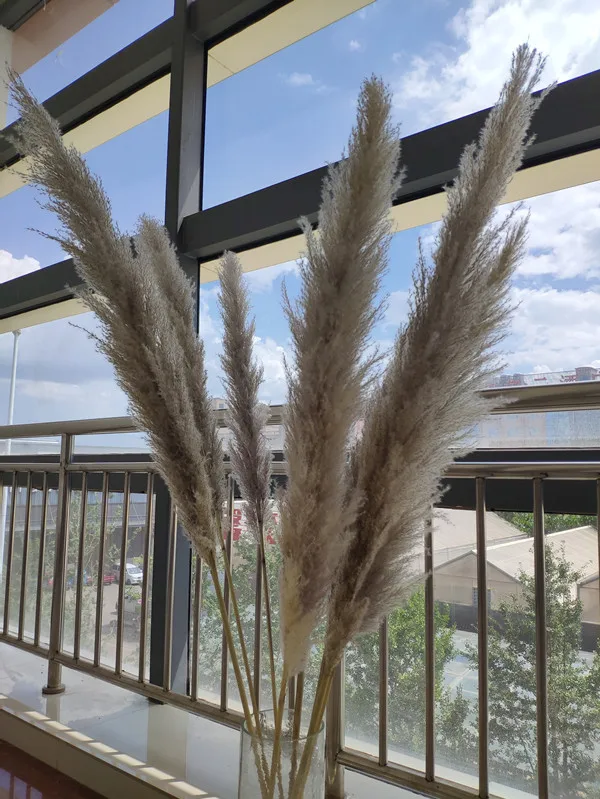 80cm Length Wedding Artificial Pampas Natural Dried Decorative Pampas