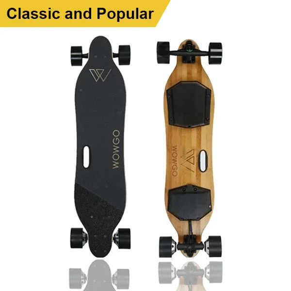 

379.99 USD with free shipping standard motor with 4.0 Ah battery WowGo 2S