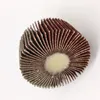 high quality Sanding Flap Wheel flap disc For Metal and Wood Polishing