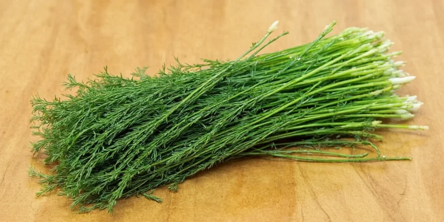 Dill Weed: From Spice Rack to Star Ingredient – 7 Recipes That Will Blow Your Mind!