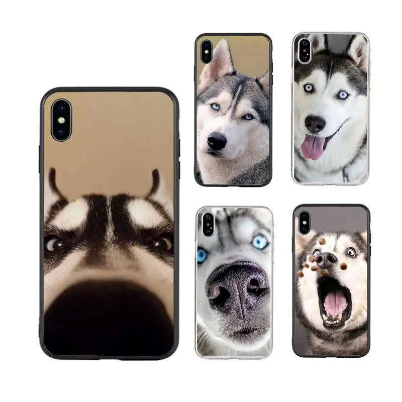 

Funny cute husky with a hat hot selling animal art Phone Case for iPhone X XR Xs Max 11 11Pro 11ProMax 12 12pro luxury fundas, Black/transparent