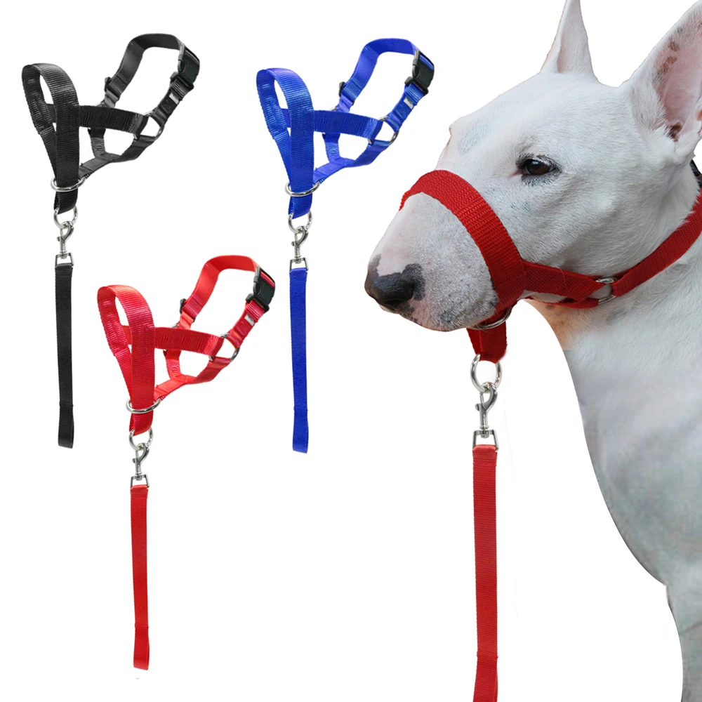 

Nylon Dogs Head Collar Dog Training Halter Blue Red Black Colors M L XL XXL Sizes